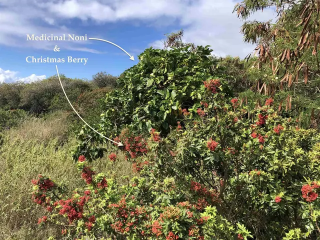 Listing Image for 0 Maua Rd 7 of 31