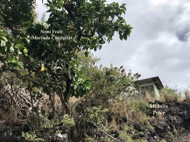 Listing Image for 0 Maua Rd 8 of 31