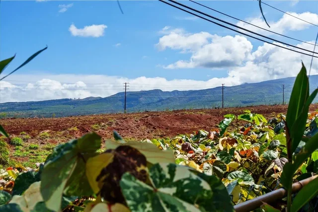 Listing Image for 9 Puu Hale St 37 of 44