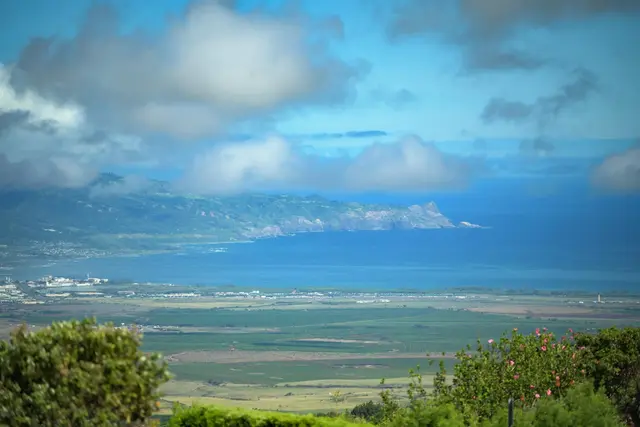 Listing Image for 50 Kaalele Pl 5 of 43