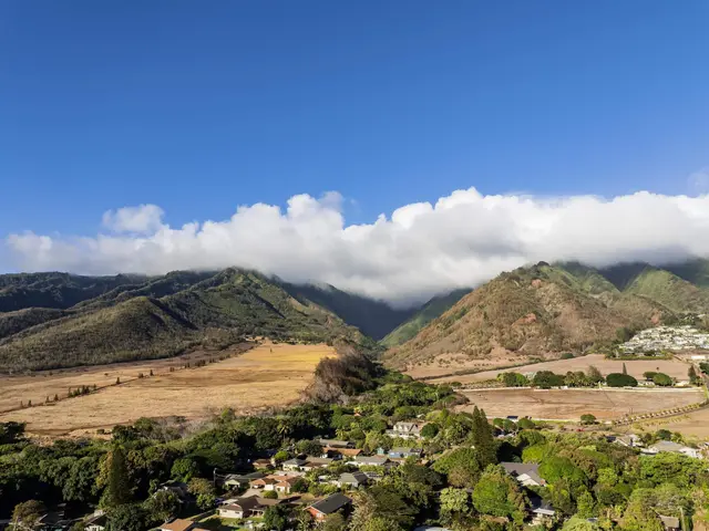 Listing Image for 1388 Kawika St 25 of 25