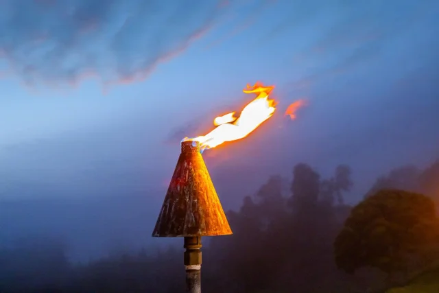 Listing Image for 7733 Kula Hwy 19 of 43