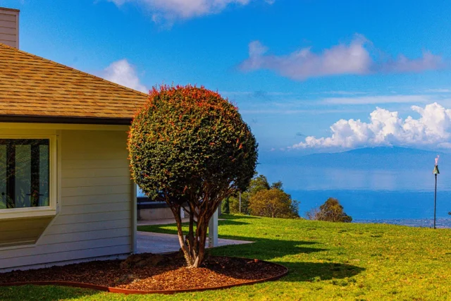 Listing Image for 7733 Kula Hwy 38 of 43