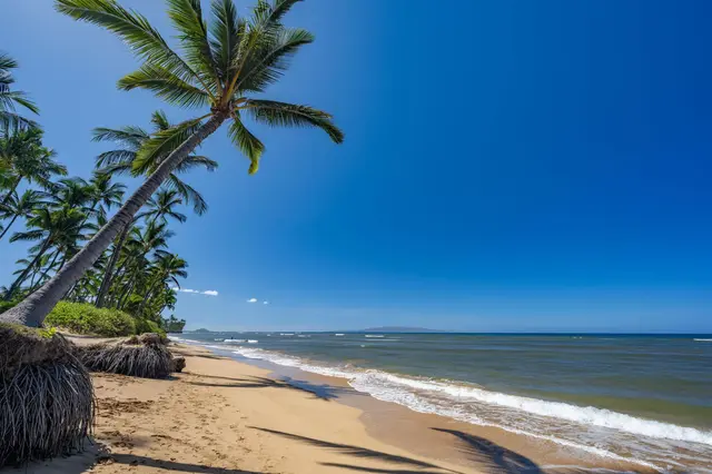 Listing Image for 1450 S Kihei Rd E-106 2 of 32