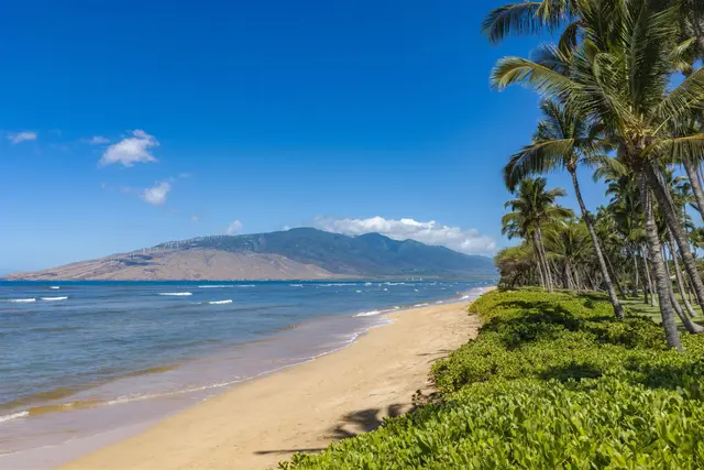 Listing Image for 1450 S Kihei Rd E-106 25 of 32