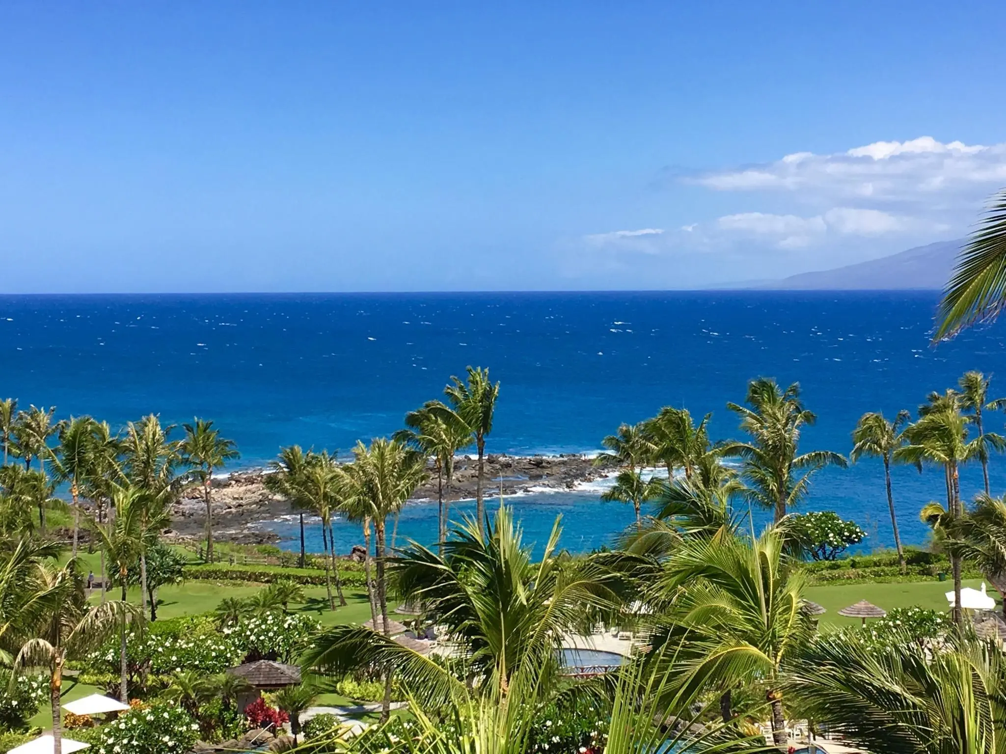 Photo of Listing #409275