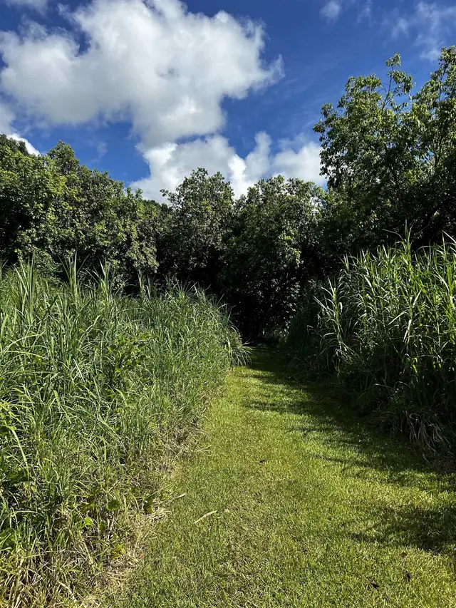 Listing Image for 159 Waiohonu Rd 10 of 20
