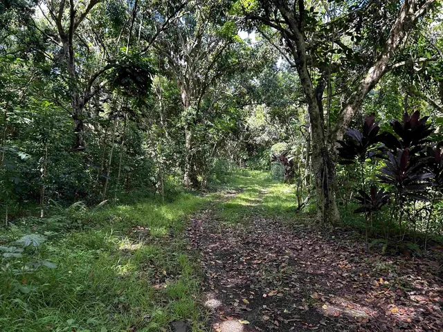 Listing Image for 159 Waiohonu Rd 12 of 20
