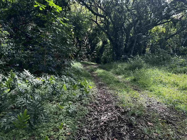 Listing Image for 159 Waiohonu Rd 16 of 20