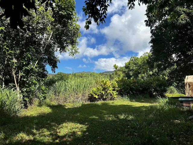 Listing Image for 159 Waiohonu Rd 9 of 20
