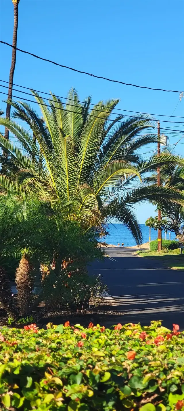 Listing Image for 34 Wailana Pl 204 22 of 28