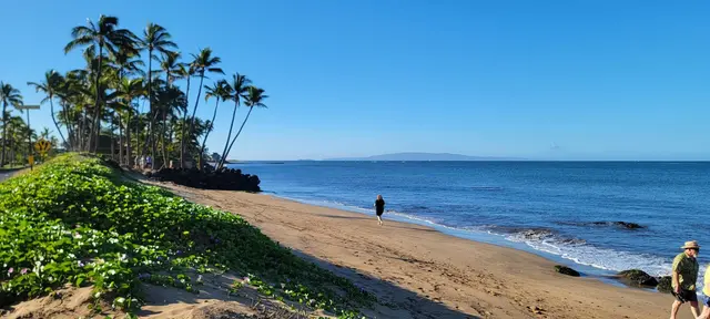 Listing Image for 34 Wailana Pl 204 26 of 28