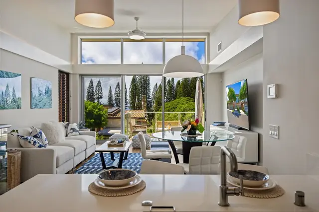 Listing Image for 173 Holokahiki Ln 10b 11 of 50