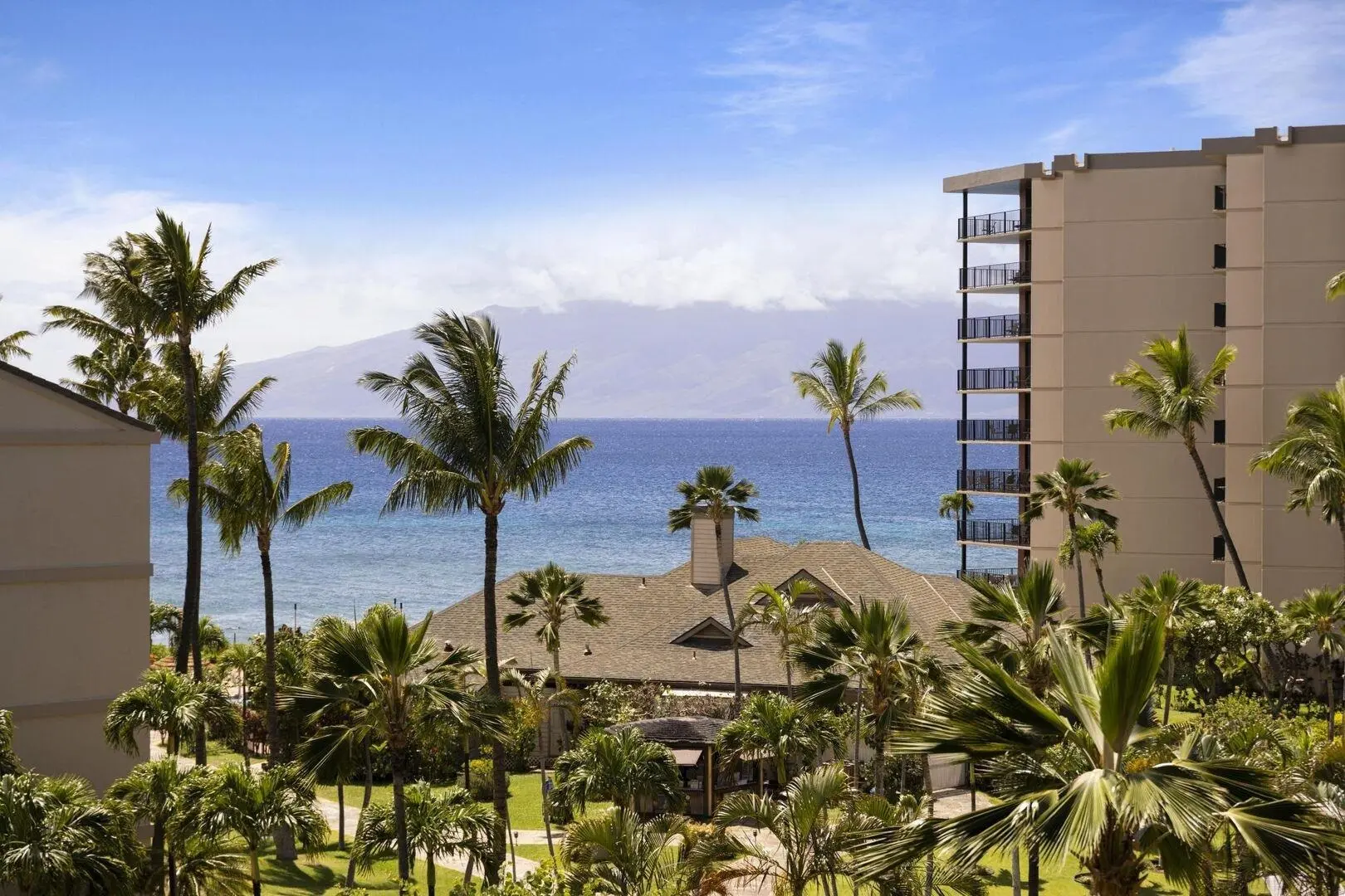 Photo of Listing #409311