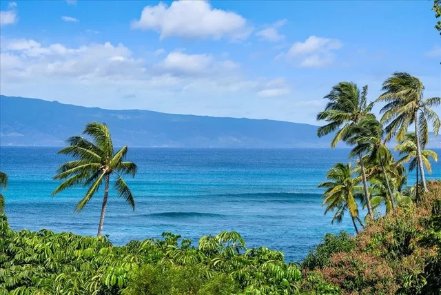 Listing Image for 20 Hui Rd I 9 19 of 50