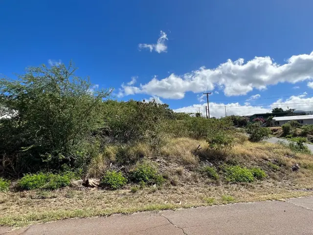 Listing Image for 1015 Poko Pl 4 of 6