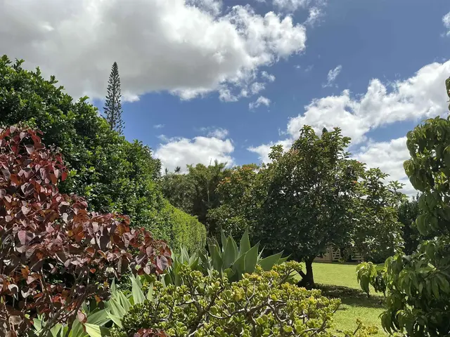 Listing Image for 245 Mokuahi St Unit A 41 of 50