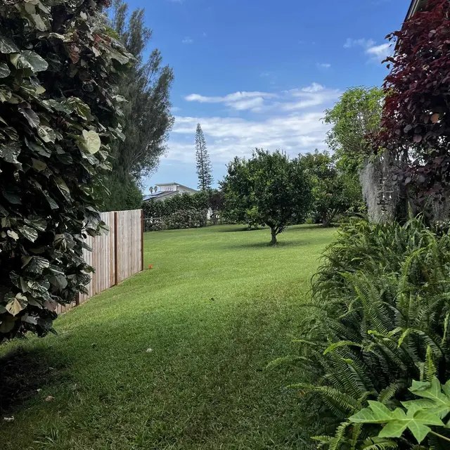 Listing Image for 245 Mokuahi St Unit A 44 of 50