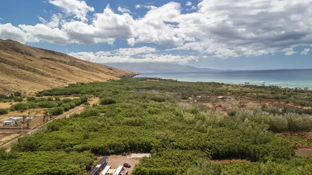 Listing Image for 0 Paeki'i Pl 39-a 7 of 10