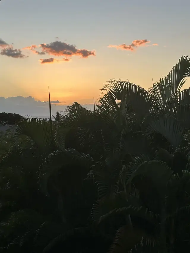 Listing Image for 2747 S Kihei Rd J204 8 of 34