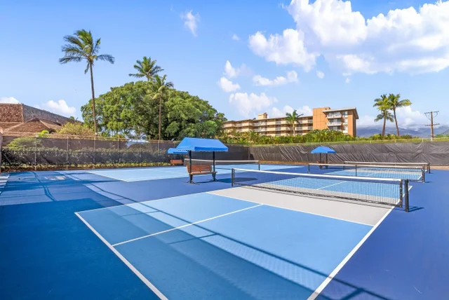 Listing Image for 12 S Kihei Rd G1 33 of 49