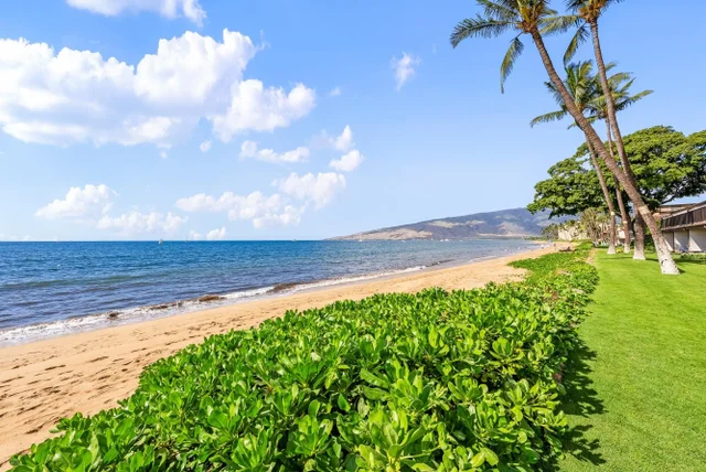 Listing Image for 12 S Kihei Rd G1 49 of 49