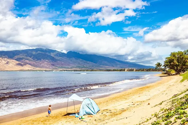 Listing Image for 483 S Kihei Rd 217 21 of 22