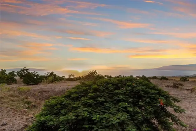 Listing Image for 13434 Kula Hwy 36 of 39