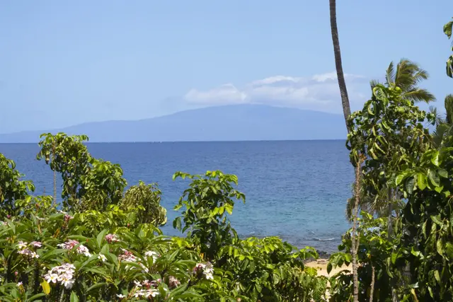 Listing Image for 2994 S Kihei Rd 301 3 of 47
