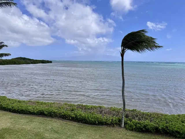 Listing Image for 7142 Kamehameha V Hwy A308 24 of 26
