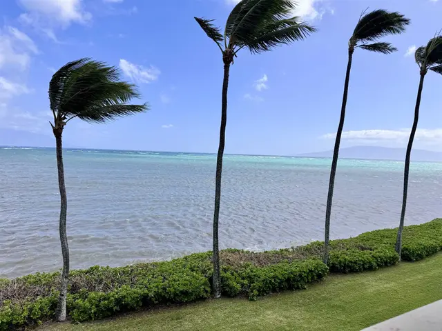 Listing Image for 7142 Kamehameha V Hwy A308 25 of 26