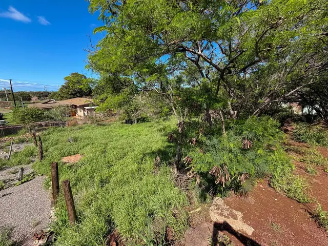 Listing Image for 270 Ala Malama Ave 14 of 15