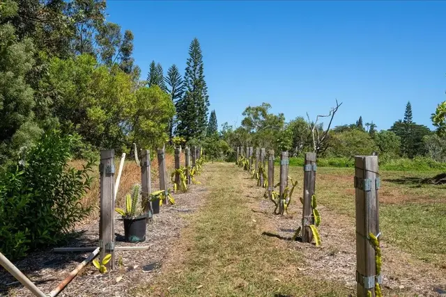 Listing Image for 1205 W Kuiaha Rd 2 36 of 46