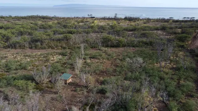 Listing Image for 856 Paeki'i Pl A 1 of 4