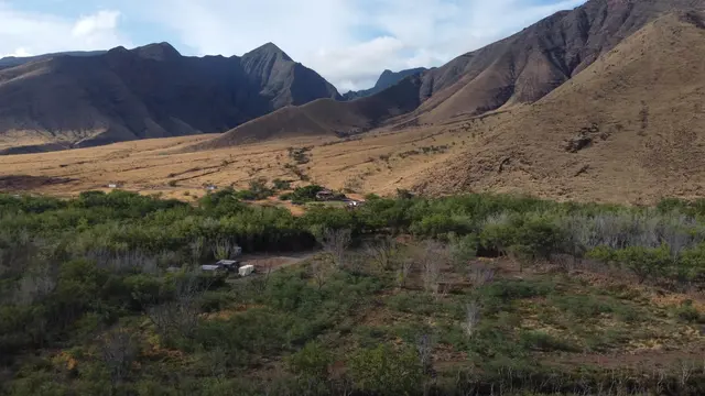 Listing Image for 856 Paeki'i Pl A 2 of 4