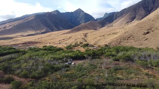 Listing Image for 856 Paeki'i Pl A 4 of 4