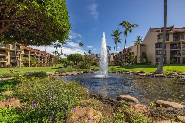 Listing Image for 2695 S Kihei Rd 8-409 48 of 49