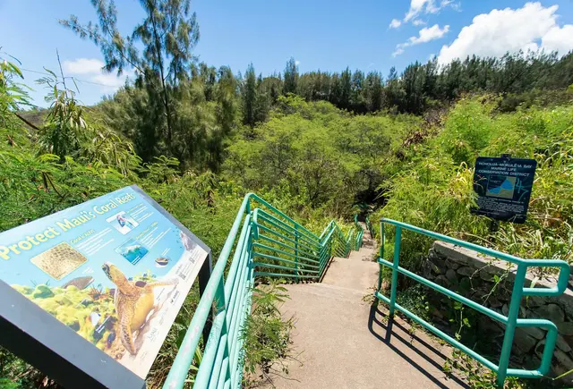 Listing Image for 100 Ridge Rd 2311 35 of 36