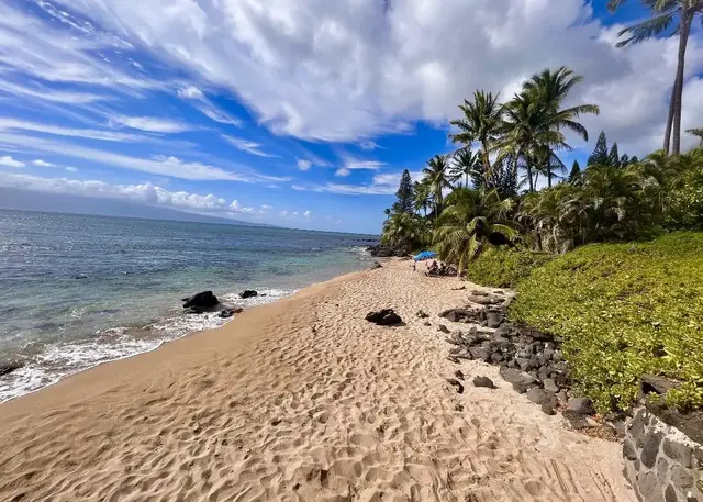 Listing Image for 4007 Lower Honoapiilani Rd 212 10 of 48