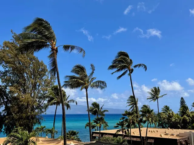 Listing Image for 4007 Lower Honoapiilani Rd 212 16 of 48