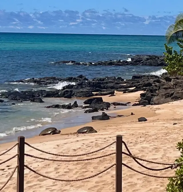 Listing Image for 4007 Lower Honoapiilani Rd 212 19 of 48