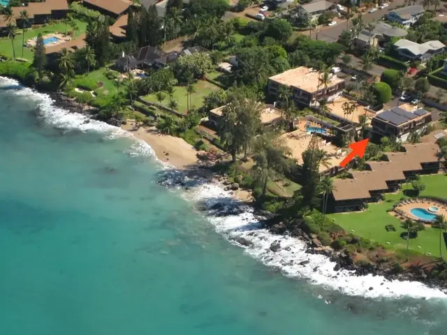 Listing Image for 4007 Lower Honoapiilani Rd 212 9 of 48