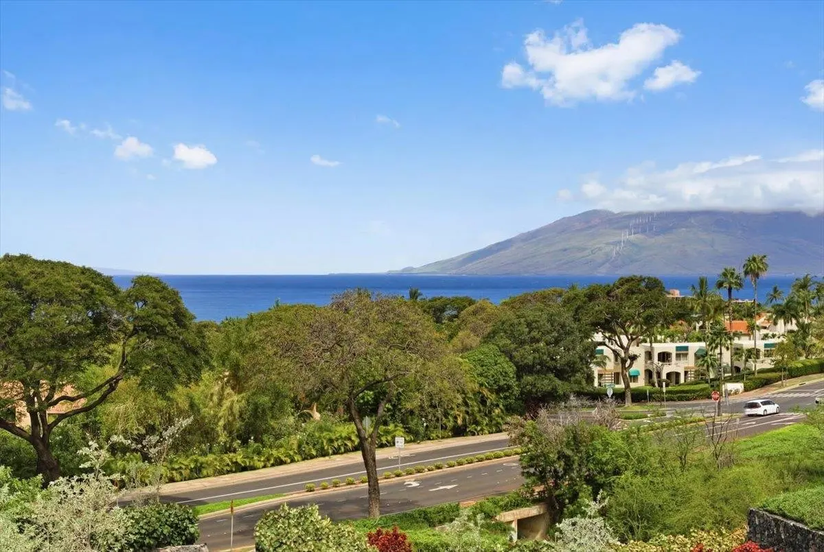 Photo of Listing #409212