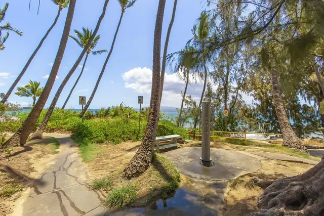 Listing Image for 2191 S Kihei Rd 2104 45 of 47