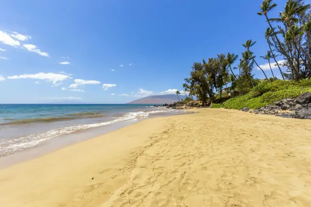 Listing Image for 2191 S Kihei Rd 2104 46 of 47