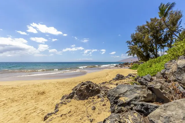 Listing Image for 2191 S Kihei Rd 2104 47 of 47