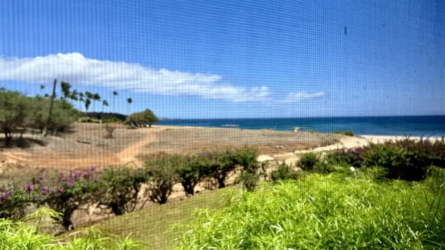 Listing Image for 100 Lio Pl I2 1 of 41