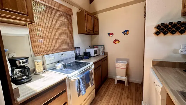 Listing Image for 100 Lio Pl I2 15 of 41