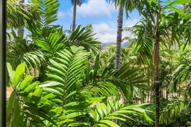 Listing Image for 15 E Kuu Aku Ln 101 16 of 35