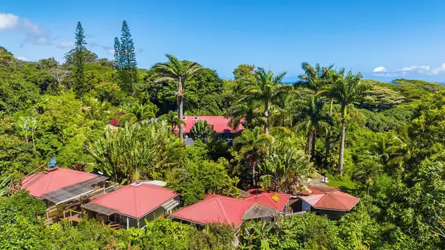 Listing Image for 7953 Hana Hwy 1 of 46